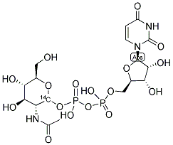 URIDINE DIPHOSPHATE-N-ACETYL-D-GLUCOSAMINE, [D-GLUCOSAMINE-1-14C] 结构式