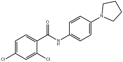 2,4-DICHLORO-N-[4-(1-PYRROLIDINYL)PHENYL]BENZENECARBOXAMIDE 结构式