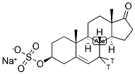 DEHYDROEPIANDROSTERONE SULFATE,SODIUM SALT, [7-3H(N)]- 结构式