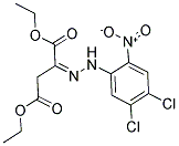 DIETHYL 2-[2-(4,5-DICHLORO-2-NITROPHENYL)HYDRAZONO]SUCCINATE 结构式