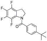 1-(4-TERT-BUTYLBENZOYL)-4,5,6,7-TETRAFLUORO-2,3-DIHYDRO-(1H)-INDOLE 结构式