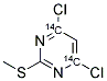 4,6-DICHLORO-2-METHYLTHIO-PYRIMIDINE, [4,6-14C] 结构式