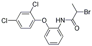 N1-[2-(2,4-DICHLOROPHENOXY)PHENYL]-2-BROMOPROPANAMIDE 结构式