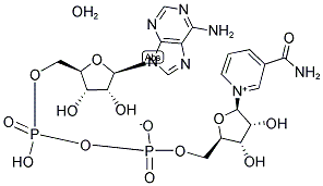 BETA-DIPHOSPHOPYRIDINE NUCLEOTIDE HYDRATE, OXIDIZED FORM 结构式