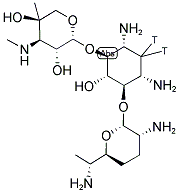 GENTAMICIN, [3H(G)] 结构式