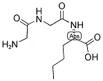 H-GLY-GLY-NLE-OH 结构式