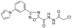 N'5-(2-CHLOROACETYL)-3-[3-(1H-PYRROL-1-YL)PHENYL]-1,2,4-OXADIAZOLE-5-CARBOHYDRAZIDE 结构式