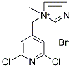 1-[(2,6-DICHLORO-4-PYRIDYL)METHYL]-1-METHYL-1H-IMIDAZOL-1-IUM BROMIDE 结构式