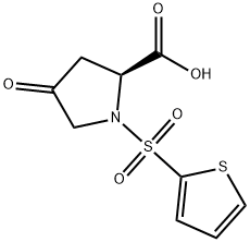 4-OXO-1-(2-THIENYLSULFONYL)-2-PYRROLIDINECARBOXYLIC ACID 结构式