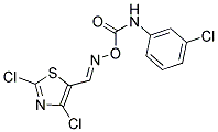 2,4-DICHLORO-5-[(([(3-CHLOROANILINO)CARBONYL]OXY)IMINO)METHYL]-1,3-THIAZOLE 结构式