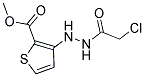 METHYL 3-[2-(2-CHLOROACETYL)HYDRAZINO]THIOPHENE-2-CARBOXYLATE 结构式