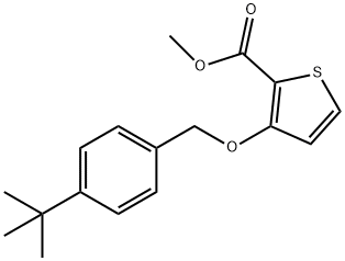 METHYL 3-([4-(TERT-BUTYL)BENZYL]OXY)-2-THIOPHENECARBOXYLATE 结构式