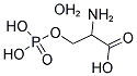 H-DL-Ser(H2PO3)-OH H2O 结构式