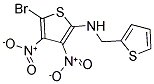 N2-(2-THIENYLMETHYL)-5-BROMO-3,4-DINITROTHIOPHEN-2-AMINE 结构式