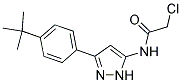 N1-(3-[4-(TERT-BUTYL)PHENYL]-1H-PYRAZOL-5-YL)-2-CHLOROACETAMIDE 结构式