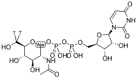URIDINE DIPHOSPHATE N-ACETYL-D-GLUCOSAMINE, [GLUCOSAMINE-6-3H(N)] 结构式