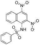 N-(2,4-DINITRO-1-NAPHTHYL)-BENZENE SULFONAMIDE 结构式