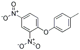 2,4-DINITRO-1-(P-TOLYLOXY)BENZENE 结构式