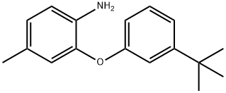 2-[3-(TERT-BUTYL)PHENOXY]-4-METHYLPHENYLAMINE 结构式