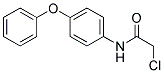 2-CHLORO-N-(4-PHENOXYPHENYL)ACETAMIDE, TECH 结构式