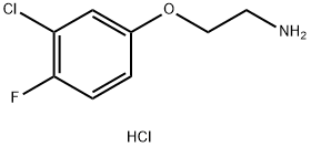 2-(3-氯-4-氟苯氧基)乙烷-1-胺 结构式