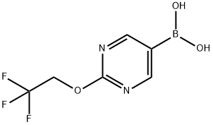 2-(2,2,2-三氟乙氧基)嘧啶-5-硼酸 结构式