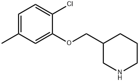 2-CHLORO-5-METHYLPHENYL 3-PIPERIDINYLMETHYL ETHER 结构式