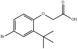 2-(4-溴-2-(叔丁基)苯氧基)乙酸 结构式