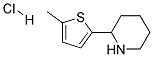 2-(5-METHYL-2-THIENYL)PIPERIDINE HYDROCHLORIDE 结构式