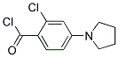 2-CHLORO-4-PYRROLIDIN-1-YL-BENZOYL CHLORIDE 结构式
