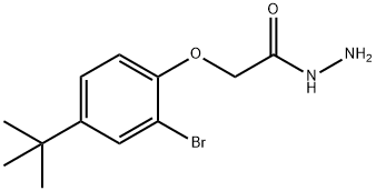 2-[2-BROMO-4-(TERT-BUTYL)PHENOXY]ACETOHYDRAZIDE 结构式