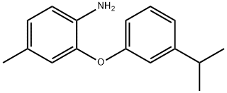 2-(3-ISOPROPYLPHENOXY)-4-METHYLANILINE 结构式