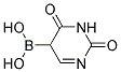 2,6-Dioxo-1,2,5,6-tetrahydropyrimidine-5-boronic acid 结构式
