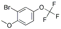 2-Bromo-4-(trifluoromethoxy)anisole 结构式