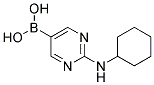 (2-CYCLOHEXYLAMINOPYRIMIDIN-5-YL)BORONIC ACID 结构式