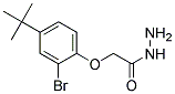 (2-Bromo-4-tert-butyl-phenoxy)-acetic acid hydrazide 结构式
