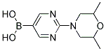 [2-(2,6-DIMETHYLMORPHOLIN-4-YL)PYRIMIDIN-5-YL]BORONIC ACID 结构式