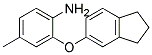 2-(2,3-DIHYDRO-1H-INDEN-5-YLOXY)-4-METHYLPHENYLAMINE 结构式