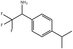 2,2,2-三氟-1-(4-异丙基苯基)乙-1-胺 结构式