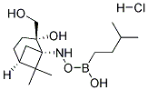 (1R)-(1S,2S,3R,5S)-PINANEDIOL-1-AMINO-3-METHYLBUTANE-1-BORONATE, HYDROCHLORIDE 结构式