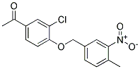 1-(3-CHLORO-4-[(4-METHYL-3-NITROBENZYL)OXY]PHENYL)-1-ETHANON 结构式