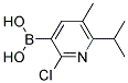 2-氯-5-甲基-6-异丙基吡啶-3-硼酸 结构式