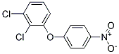 2,3-DICHLOROPHENYL 4-NITROPHENYL ETHER 结构式