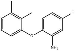 2-(2,3-DIMETHYLPHENOXY)-5-FLUOROANILINE 结构式