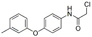 2-CHLORO-N-[4-(3-METHYLPHENOXY)PHENYL]ACETAMIDE 结构式