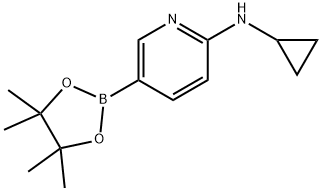 2-CYCLOPROPYLAMINO-5-PYRIDINEBORONIC ACID, PINACOL ESTER 结构式