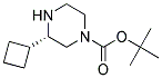 (S)-3-CYCLOBUTYL-PIPERAZINE-1-CARBOXYLIC ACID TERT-BUTYL ESTER 结构式