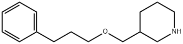 3-[(3-PHENYLPROPOXY)METHYL]PIPERIDINE 结构式