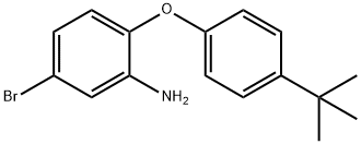 5-溴-2-[4-(叔丁基)苯氧基]苯胺 结构式