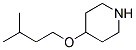 4-(ISOPENTYLOXY)PIPERIDINE 结构式